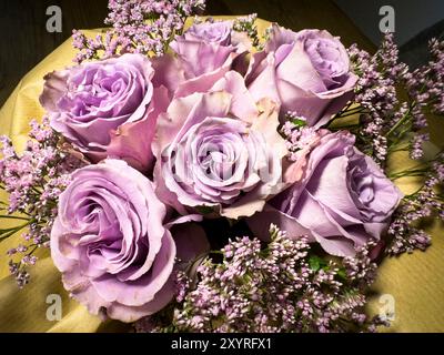 Marktoberdorf, Germania. 22 giugno 2024. Un giardino di rose sul giu 22, 2024 a Marktoberdorf, Germania. Fotografo: ddp Images/STAR-Images credito: ddp media GmbH/Alamy Live News Foto Stock