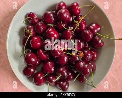 Marktoberdorf, Germania. 21 giugno 2024. Ciliegie salutari a Marktoberdorf, Baviera, Germania, 21 giugno 2024. Fotografo: ddp Images/STAR-Images credito: ddp media GmbH/Alamy Live News Foto Stock