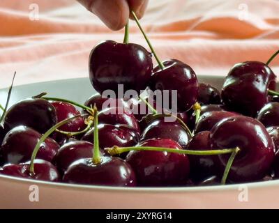 Marktoberdorf, Germania. 21 giugno 2024. Ciliegie salutari a Marktoberdorf, Baviera, Germania, 21 giugno 2024. Fotografo: ddp Images/STAR-Images credito: ddp media GmbH/Alamy Live News Foto Stock