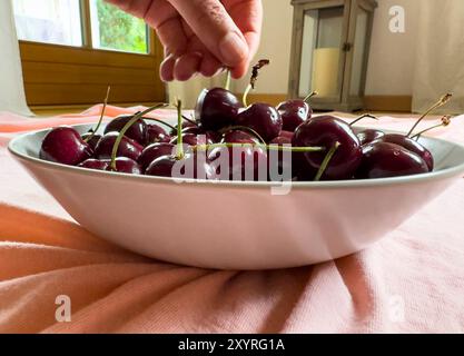 Marktoberdorf, Germania. 21 giugno 2024. Ciliegie salutari a Marktoberdorf, Baviera, Germania, 21 giugno 2024. Fotografo: ddp Images/STAR-Images credito: ddp media GmbH/Alamy Live News Foto Stock