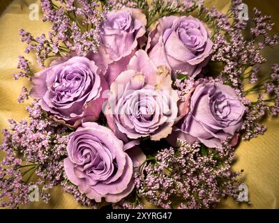 Marktoberdorf, Germania. 22 giugno 2024. Un giardino di rose sul giu 22, 2024 a Marktoberdorf, Germania. Fotografo: ddp Images/STAR-Images credito: ddp media GmbH/Alamy Live News Foto Stock