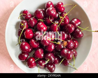 Marktoberdorf, Germania. 21 giugno 2024. Ciliegie salutari a Marktoberdorf, Baviera, Germania, 21 giugno 2024. Fotografo: ddp Images/STAR-Images credito: ddp media GmbH/Alamy Live News Foto Stock