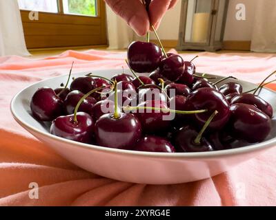 Marktoberdorf, Germania. 21 giugno 2024. Ciliegie salutari a Marktoberdorf, Baviera, Germania, 21 giugno 2024. Fotografo: ddp Images/STAR-Images credito: ddp media GmbH/Alamy Live News Foto Stock