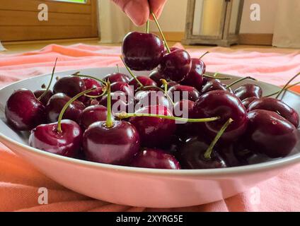 Marktoberdorf, Germania. 21 giugno 2024. Ciliegie salutari a Marktoberdorf, Baviera, Germania, 21 giugno 2024. Fotografo: ddp Images/STAR-Images credito: ddp media GmbH/Alamy Live News Foto Stock