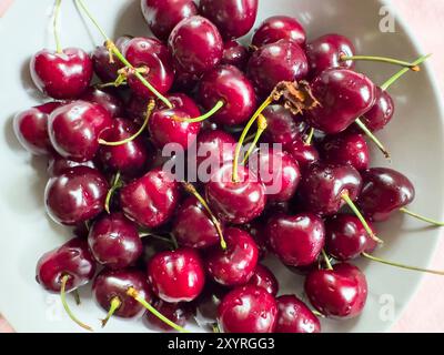 Marktoberdorf, Germania. 21 giugno 2024. Ciliegie salutari a Marktoberdorf, Baviera, Germania, 21 giugno 2024. Fotografo: ddp Images/STAR-Images credito: ddp media GmbH/Alamy Live News Foto Stock