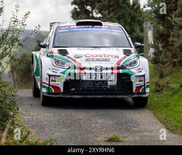 Aberystwyth, Dyfed, Regno Unito. 30 agosto 2024. 2024 FIA European Rally Championship Day 1; pilota Meirion Evans e co-pilota Jonathan Jackson nella loro Toyota GR Yaris durante il rally shakedown Credit: Action Plus Sports/Alamy Live News Foto Stock