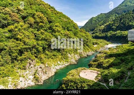 Fiume Iya e foreste lussureggianti nella Valle di Iya, un'area panoramica nella prefettura di Tokushima, nella regione di Shikoku in Giappone. Foto Stock