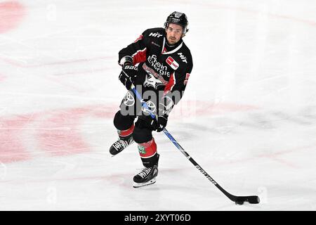 Eishockey DEL 24/25: Timocom NRW-Cup Düsseldorfer EG vs Kölner Haie AM 30.8.2024 in der Yayla Arena a Krefeld Kölns Adam Almqvist (Nr.53) foto: Osnapix Foto Stock