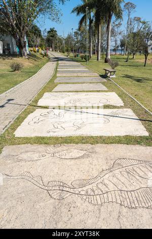 Ribeiro Pires, SP Brasile. 29 agosto 2024. Splendido ponte e laghetto nell'Oriental Park. Milton Marinho De Moraes. Foto Stock