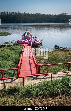 Ribeiro Pires, SP Brasile. 29 agosto 2024. Splendido ponte e laghetto nell'Oriental Park. Milton Marinho De Moraes. Foto Stock