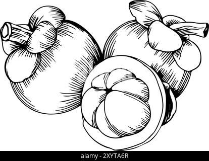 illustrazione dell'icona del mangostano Illustrazione Vettoriale