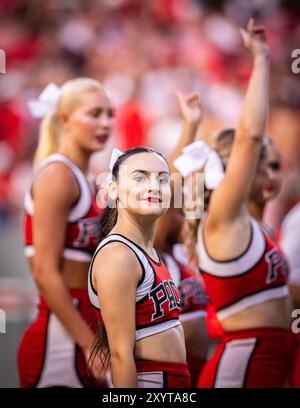 Raleigh, North Carolina, Stati Uniti. 29 agosto 2024. NC State Cheerleader guarda la folla durante la partita di calcio ACC 2024 tra NC North Carolina e Western Carolina University al Carter-Finley Stadium, RaleighNorth CarolinaUSA il 8/29/24 (immagine di credito: © Paul Morea/ZUMA Press Wire) SOLO PER USO EDITORIALE! Non per USO commerciale! Foto Stock