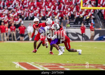 Raleigh, North Carolina, Stati Uniti. 29 agosto 2024. Durante il 2024 ACC Football:NC North Carolina 38:21 Western Carolina University at Carter-Finley Stadium, RaleighNorth CarolinaUSA il 8/29/24 (Credit Image: © Paul Morea/ZUMA Press Wire) SOLO USO EDITORIALE! Non per USO commerciale! Foto Stock