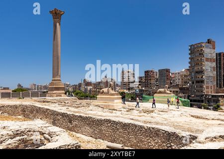 Serapeo di Alessandria, antico pilastro di Pompeo, nel centro di Alessandria, Egitto, nord Africa, Africa Foto Stock