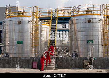 HEFEI, CINA - 30 AGOSTO 2024 - i lavoratori vengono evacuati nel sito di un'esercitazione di emergenza per pericolosi incidenti di sicurezza della produzione chimica in un chemi Foto Stock