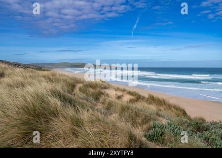 Pinnacoli, Capo Woolamai, Phillip Island, Australia Foto Stock