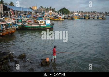 Un uomo che pesca nella laguna adiacente al mercato del pesce di Negombo sulla costa occidentale dello Sri Lanka la mattina presto. Foto Stock