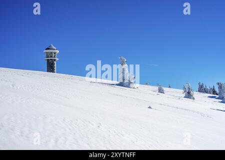 Escursioni nel paese delle meraviglie invernali sul Feldberg sotto il sole glorioso Foto Stock