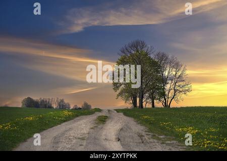 Scenario rurale caratterizzato da una strada di campagna dritta e sterrata che si estende dal primo piano alla distanza, cielo dipinto con una bella sfumatura di blu profondo, l Foto Stock