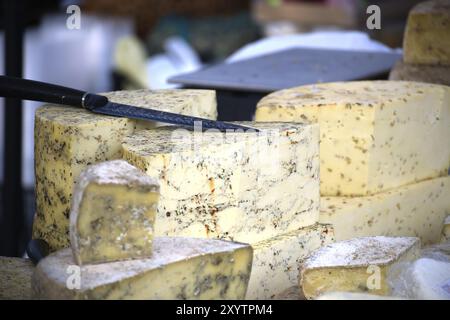 I diversi tipi di formaggio duro in vendita su un mercato agricolo, assortimento di formaggi gourmet Foto Stock