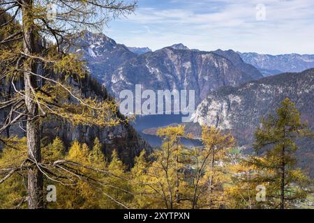 Vista dalle pendici dei monti Dachstein fino al lago Hallstatt. Larici gialli. Autunno, bel tempo, qualche nuvola. Lago Hallstatt, Salzkammergut, U Foto Stock