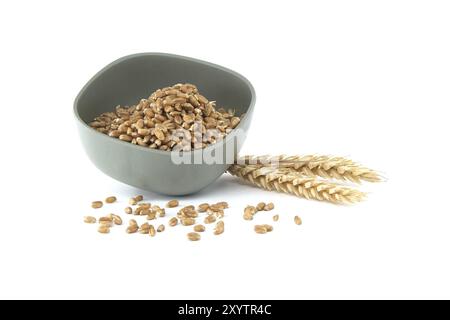 Recipiente in ceramica grigia ripieno di grani di grano e gambi di grano posizionati accanto al recipiente Foto Stock