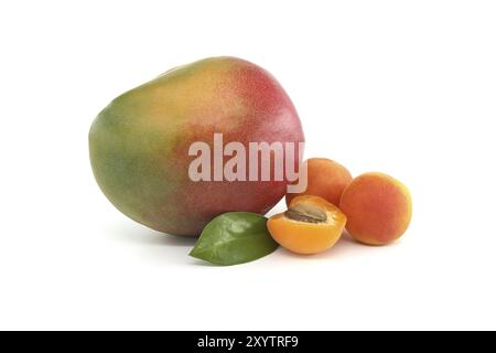 Frutti di mango maturi multicolori, albicocche mature intere e dimezzate isolate su fondo bianco. Vitamine frutta succosa Foto Stock