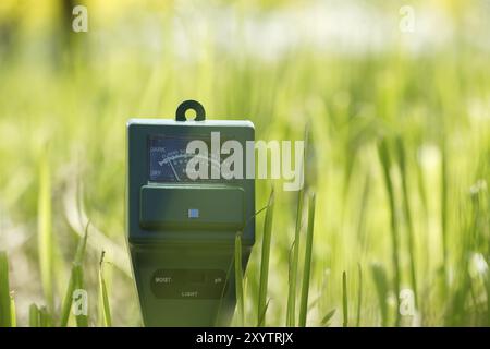 Misuratore di umidità del suolo, intensità luminosa e PH in primo piano, concetto di tecnologia agricola Foto Stock