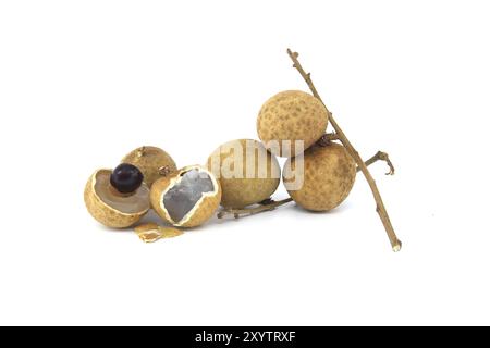 Dragon Eye Fruit, noto anche come longan bao, è un frutto longan su un ramo. Uno dei frutti è aperto per rivelare il suo seme nero all'interno Foto Stock