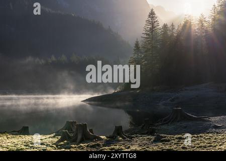 Il Vordere Gosausee in autunno. Diversi ceppi di alberi in primo piano. La nebbia sorge dal lago. Sole, raggi solari, retroilluminazione. Vorderer Gosausee, Gosau, via Foto Stock
