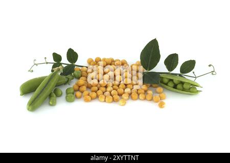 Piselli secchi gialli circondati da una foglia verde, piselli verdi freschi e baccelli di piselli isolati su fondo bianco, dieta sana a base vegetale Foto Stock