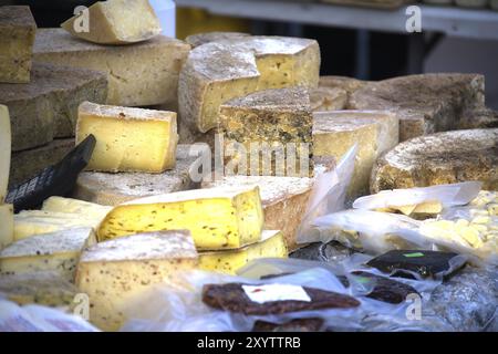 I diversi tipi di formaggio duro in vendita su un mercato agricolo, assortimento di formaggi gourmet Foto Stock