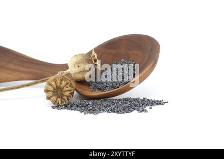 Semi di papavero in cucchiaio di legno e cialde essiccate di semi di papavero isolate su sfondo bianco, profondità di campo completa Foto Stock