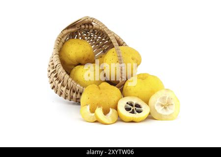 Cestino di vimini traboccante di frutti di cotogna gialli freschi e vivaci su sfondo bianco, frutta di cotogna intera e mezza tagliata sono sparse intorno al Foto Stock