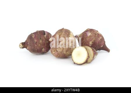 Tuberi appena scavati di carciofi di Gerusalemme isolati su sfondo bianco. Helianthus tuberosus, topinambur o sunchoke Foto Stock