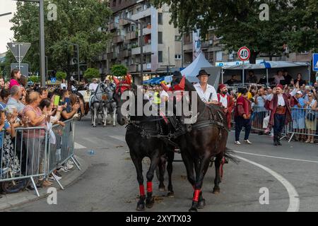 Pozarevac. 30 agosto 2024. I cavalli sfilano alla cerimonia di apertura dei giochi equestri annuali nella città di Pozarevac, Serbia, il 30 agosto 2024. La 61a edizione dei Giochi equestri di Ljubicevo è ufficialmente iniziata venerdì nella città di Pozarevac, annunciando uno degli eventi sportivi-turistici più celebrati della Serbia. Crediti: Nemanja Cabric/Xinhua/Alamy Live News Foto Stock