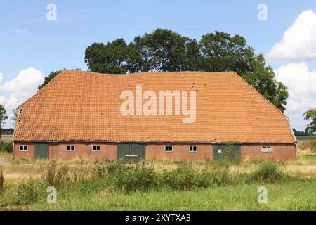 Grande edificio agricolo, cielo blu sullo sfondo grande edificio agricolo, cielo blu sullo sfondo Foto Stock