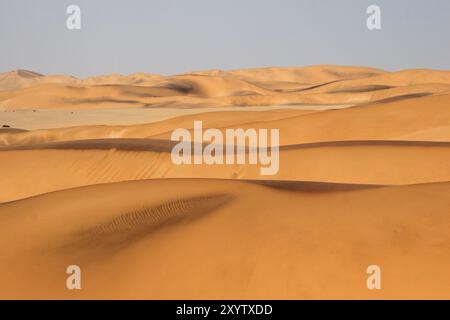 Dune nel Namib, dune nel deserto del Namib Foto Stock