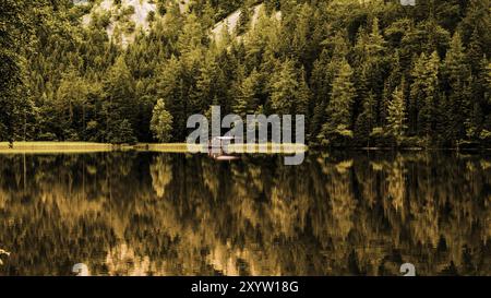 Vista del cottage di legno nella verde pineta dal lago blu in estate rurale Austria, Leopoldsteinersee Foto Stock