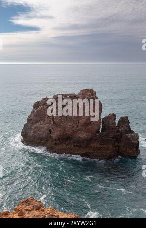 Due cicogne bianche (Ciconia ciconia) sedute su una roccia nel mare nel parco naturale della Costa Vicentina nell'Oceano Atlantico, in Algarve, Portogallo, UE Foto Stock