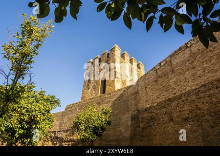 Mura della città vecchia della città storica di Siviglia, Andalusia, Spagna, Europa Foto Stock