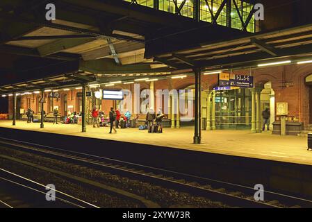 Europa, Germania, Amburgo, Harburg, stazione ferroviaria di notte, in attesa dei passeggeri sul binario, Amburgo, Amburgo, Repubblica federale di Germania, Europa Foto Stock