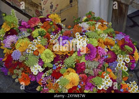 Europa, Germania, fiori recisi, bouquet colorato, Amburgo, Amburgo, Repubblica federale di Germania, Europa Foto Stock