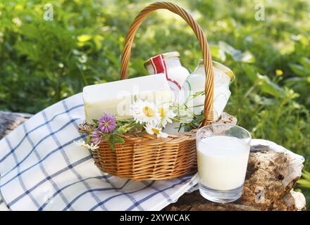 Diversi prodotti lattiero-caseari: formaggio, panna, latte, olio. Su uno sfondo natura Foto Stock