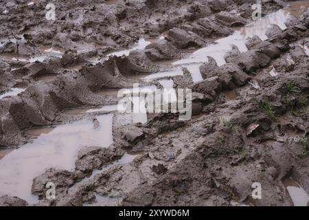 Cingoli degli pneumatici in terreni profondi Foto Stock