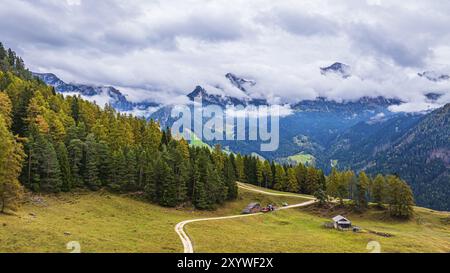 Lavori forestali sul prato alpino Wuhnleger, sullo sfondo le cime del roseto, avvolte dalla nebbia, colpo di droni, Dolomiti, Provinciale autonomo Foto Stock