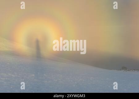 Brocken Specter (inglese: Brocken Specter, Brocken bow, mountain Specter), Kebnekaise, Kebnekaisefjaell, Norrbotten, Lapponia, Svezia, agosto 2013, EUR Foto Stock