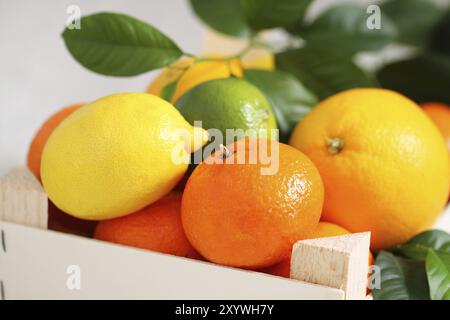 Agrumi freschi nella scatola di legno Foto Stock