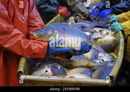 Pesca all'aperto, pesca all'asciutto 08 Foto Stock