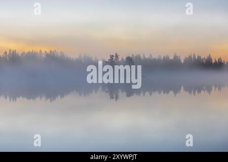 Alba in un lago forestale, Norrbotten, Lapponia, Svezia, agosto 2015, Europa Foto Stock